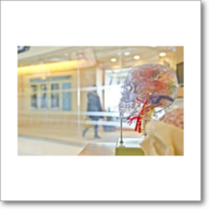 Neuroscience